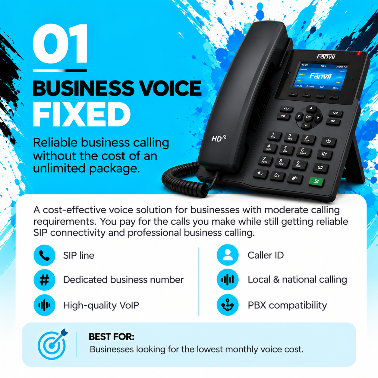 Business Voice Fixed Plan